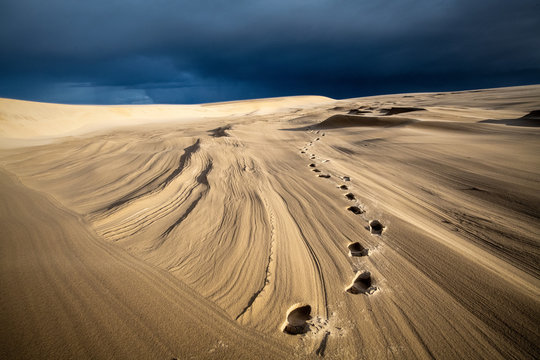 Trace de pas sur une dune de sable