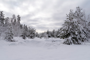 Natural dark winter landscape with cloudy sky