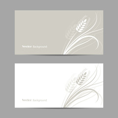 Set of horizontal banners. Wheat spikelet on white and gray background