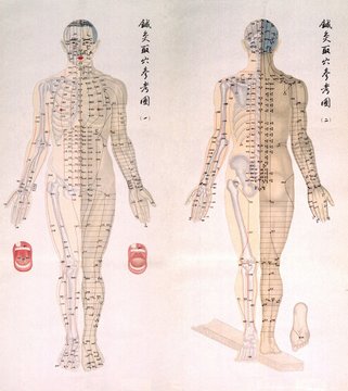 Chinese chart of acupuncture points on a male body, with bones are depicted on half of his body and muscles on the other half