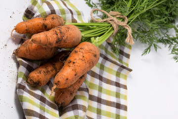 Carrot bunch with green leaves and stems on white background.