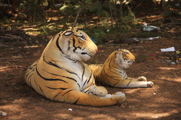 tor tiger © sudarson