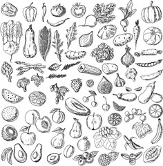 Set of hand-hand drawn food. Vegetables, fruits, berries. Vegetarian set.