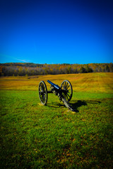 cannon in the field