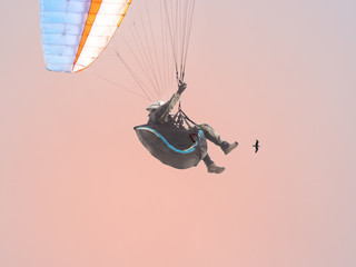 Paragliding our own world together