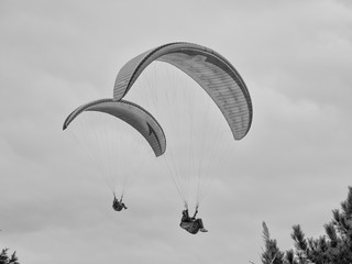 Paragliding our own world together
