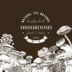 Background with hand drawn edible mushrooms