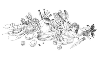Obraz premium Hand drawn vegetables