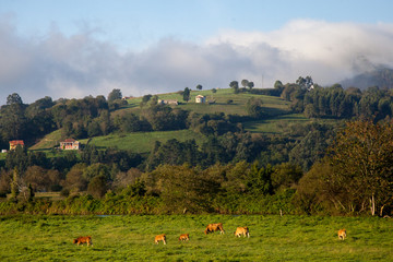 Paisaje asturiano