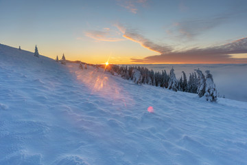 Winter landscapes from the Ukrainian Carpathian Mountains with many fogs and snowy slopes of mountains and trees in the frame	
