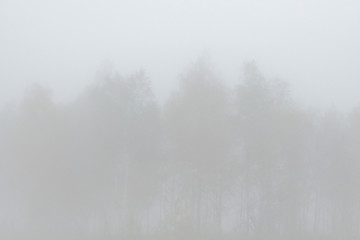 Fototapeta na wymiar Morning landscape area in the fog