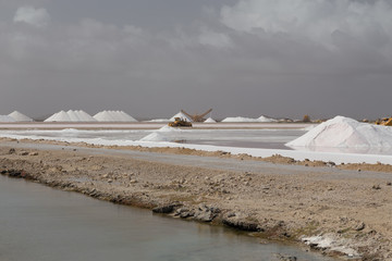caribbean salt lake mining work Bonaire island Netherlandes Antilles