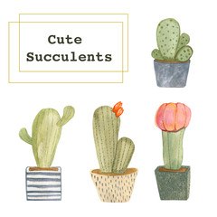 Watercolor illustration of a set of cacti in pots. Cute cacti are hand-drawn with watercolors and gouache. Perfect for all types of design.