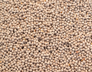 roasted chickpeas are sold in the market