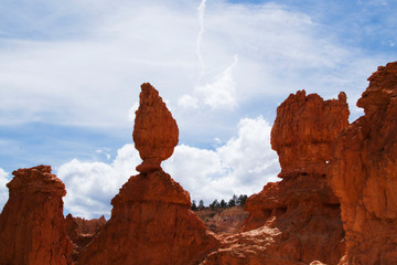 Bryce Canyon, Utah National Park. Incredible mountain landscape of American nature. Traveling in...