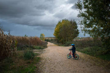 A little kid boy in autumn forest path driving a bicycle