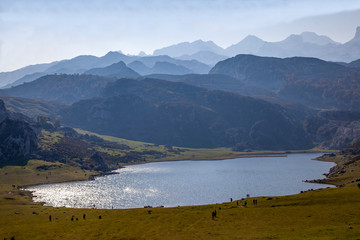 Lagos de Covadonga y su paisaje natural