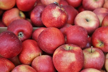 Fototapeta na wymiar close up of apple on display at the market