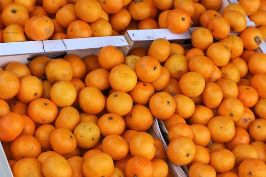 close up of boxes of oranges on display at the market