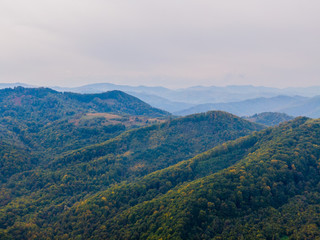 Aerial view mountain with trees in autumn