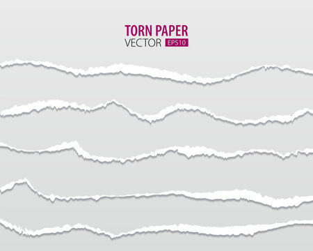 Torn paper edges. Vector torn paper with ripped edges on a transparent background for web and print.