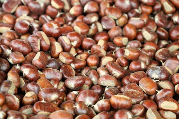 closeup of chestnuts on display at the market