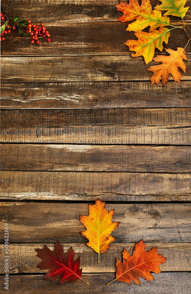 Canvas Prints autumn maple leaves on top view wooden table. vertical frame with corner