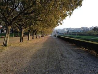 Fototapeta premium Lisboa