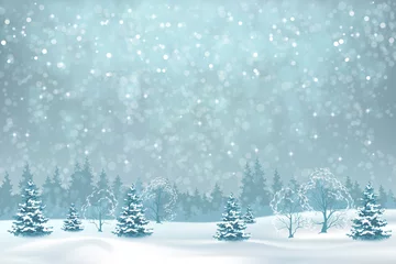 Photo sur Plexiglas Bleu clair Paysage d& 39 hiver enneigé