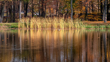 Zespół pałacowo-parkowy Lubomirskich, Białystok, Dojlidy, Podlasie © podlaski49
