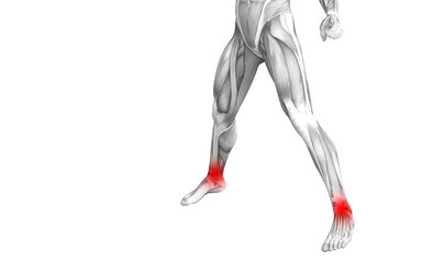 Fototapeta na wymiar Conceptual ankle human anatomy with red hot spot inflammation or articular joint pain for leg health care therapy or sport muscle concepts. 3D illustration man arthritis or bone osteoporosis disease