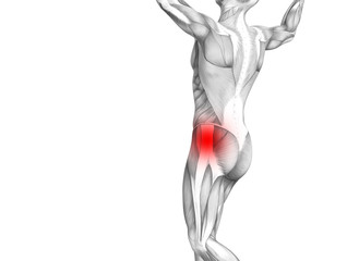 Conceptual hip human anatomy with red hot spot inflammation articular joint pain for leg health care therapy or sport muscle concepts. 3D illustration man arthritis or bone sore osteoporosis disease