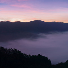 Autumn mountain forest rocks view. Mountain rocks in autumn forest. Autumn forest trees in rocks. Mountain forest in autumn landscape. Explore the beauty of world Colorful landscape background concept