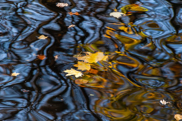 Zespół pałacowo-parkowy Lubomirskich, Białystok, Dojlidy, Podlasie © podlaski49