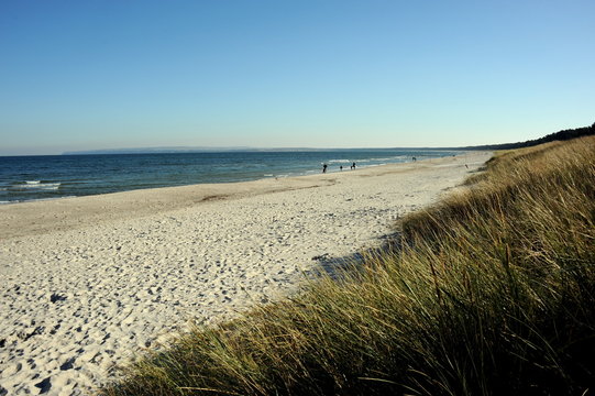 Insel R&uuml;gen, die Schaabe