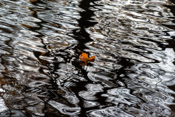 Zespół pałacowo-parkowy Lubomirskich, Białystok, Dojlidy, Podlasie © podlaski49