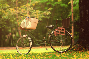 Fototapeta premium Bicycle in the park under the tree on the ground with grass and yellow flowers