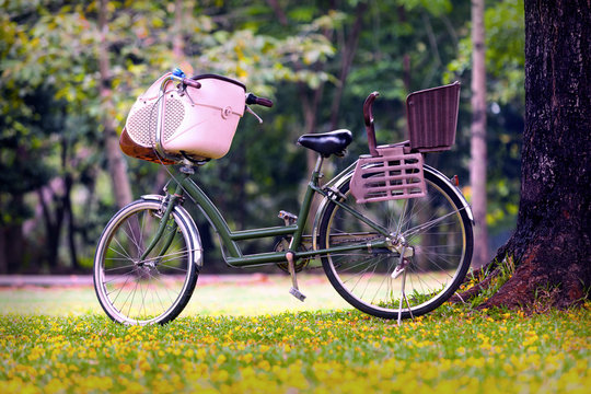 Bicycle in the park under the tree on the ground with grass and yellow flowers