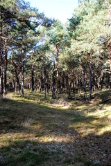 Insel Rügen, an der Schaabe zwischen Glowe und Juliusruh