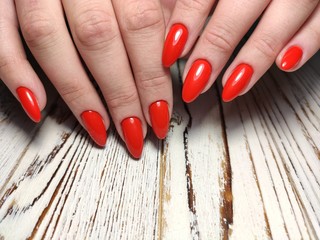 Glamorous luxurious crocodile manicure. Design glamorous nails