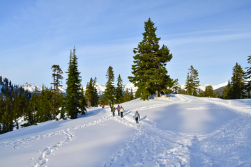 Obraz na płótnie Canvas Snowshoeing in mount Baker in Washington state