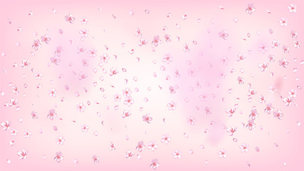 Nice Sakura Blossom Isolated Vector. Feminine Flying 3d Petals Wedding Pattern. Japanese Blooming Flowers Wallpaper. Valentine, Mother's Day Feminine Nice Sakura Blossom Isolated on Rose