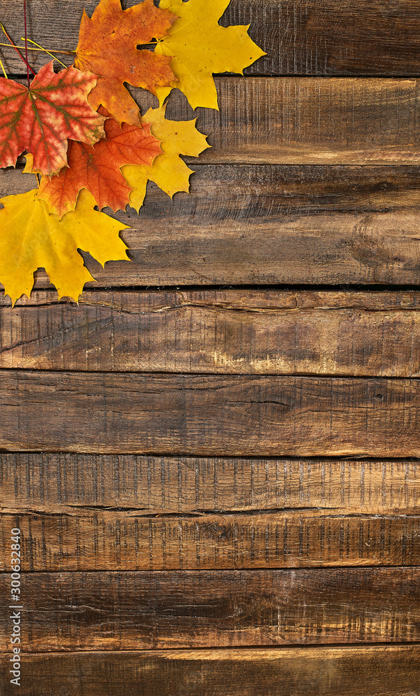 Poster autumn maple leaves on top view wooden table. vertical frame with upper left corner.