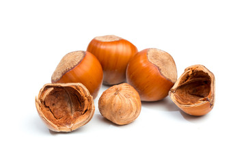 Hazelnuts isolated on white background - Image