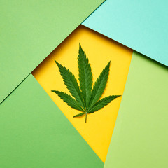 Marijuana leaf on a paper colored frame background.