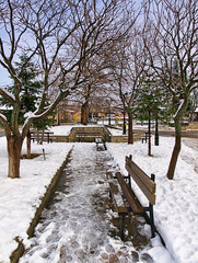 Snow covered park, with benches and bare trees, in Elatohori, Pieria, Greece.