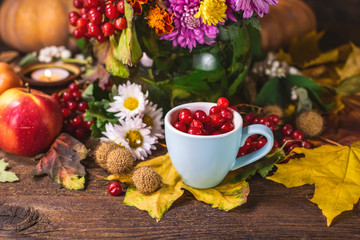 multi-colored autumn chrysanthemums and a cup of tea with mountain ash.