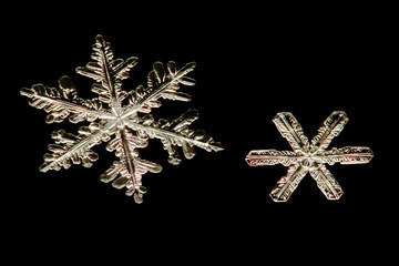 real snowflakes