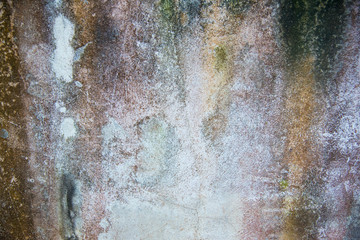 Texture of old wall with moss