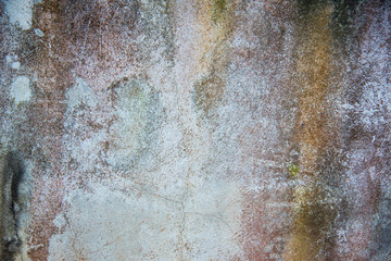 Texture of old wall with moss